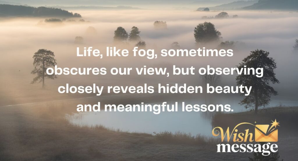 Fog Quotes About Observations of Life and Living